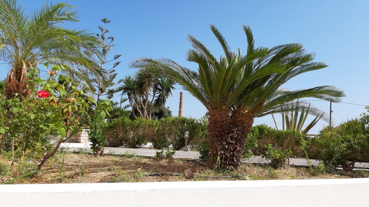 House Of Light Apartment Sitia  Bagian luar foto